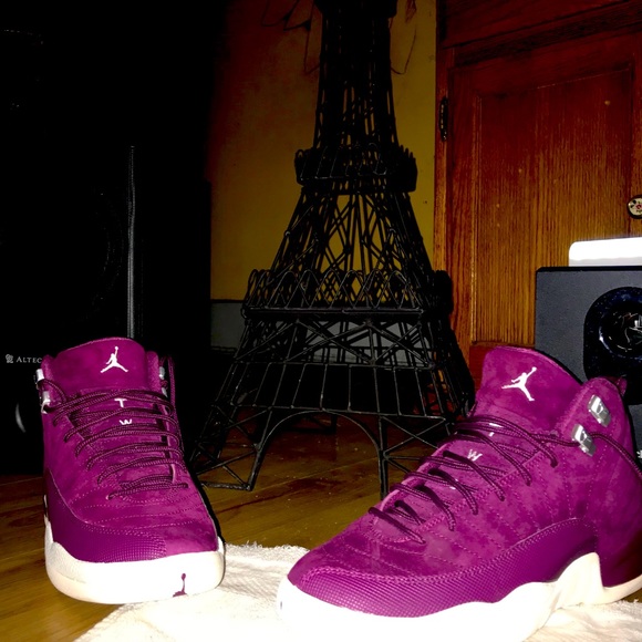 jordan 12s 7y